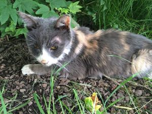 10366130_10152162303912810_5172529457044824584_n